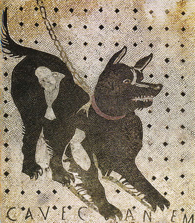 Mosaic de l'entrada de la casa del Poeta Trāgic. Pompeia Mosaic de l'entrada de la casa del Poeta Tràgic. Pompeia